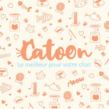 Projet de création d'identité visuelle pour Catoon par Laure Frey