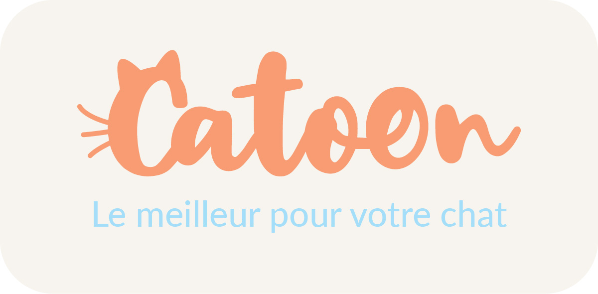 déclinaison logo Catoon
