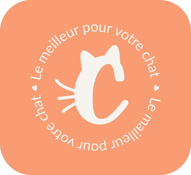 déclinaison logo Catoon