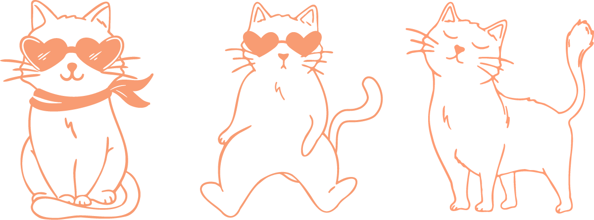 Illustration de la mascotte Catoon pour identité visuelle